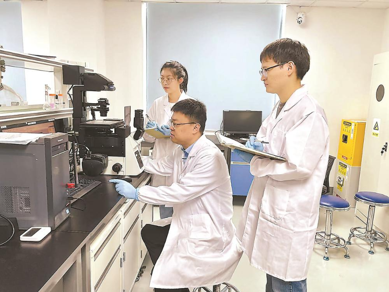 基础研究人才培养模式,如何在课堂与田间协同育人(图2) 基础研究人才培养模式,如何在课堂与田间协同育人(图2)