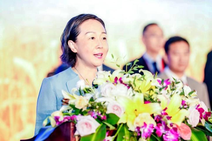 郭宁宁主持市委常委会 学习贯彻中央精神研究落实(图2) 郭宁宁主持市委常委会 学习贯彻中央精神研究落实(图2)