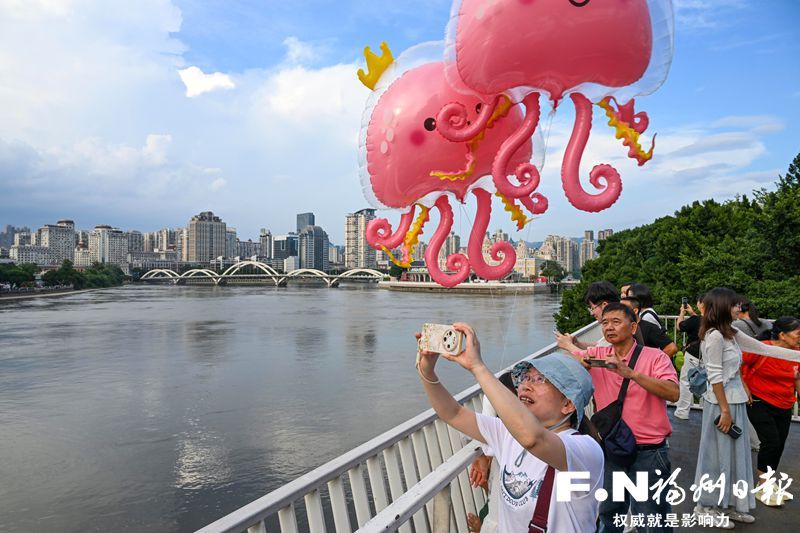 国庆福州去哪玩？花海公园5万平向日葵月季，家门口赏秋(图1)