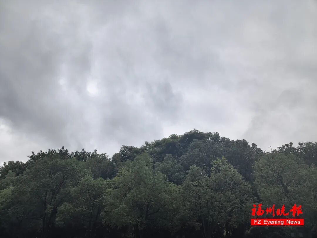 福州降温跌破20℃,冷空气何时走?升温已在路上(图7) 福州降温跌破20℃,冷空气何时走?升温已在路上(图7)