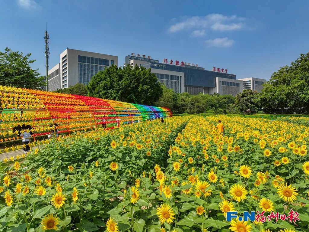 福建未来一周天气：晴多雨少，白天最高达33℃注意防晒(图4)