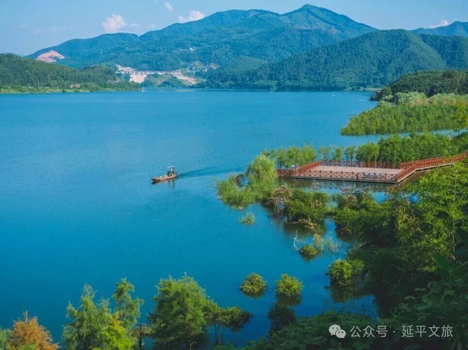 闽江生态巨变!从养猪村到网红蓝喉蜂虎观赏地(图3) 闽江生态巨变!从养猪村到网红蓝喉蜂虎观赏地(图3)