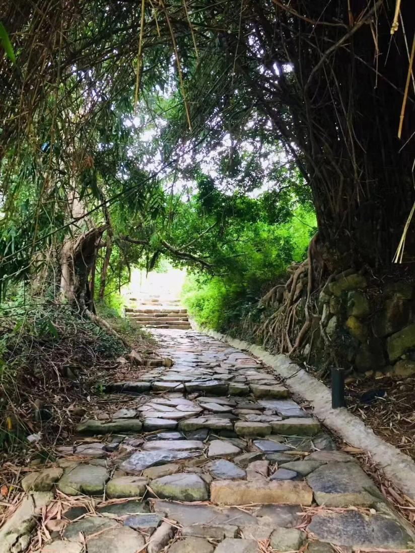 福州国庆去哪玩?北状元岭古道火出圈,看千年闽都文脉(图2) 福州国庆去哪玩?北状元岭古道火出圈,看千年闽都文脉(图2)