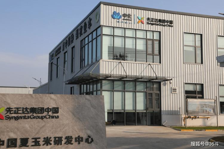 新疆昌吉玉米种业:先正达技术赋能,公司农户共赢(图1) 新疆昌吉玉米种业:先正达技术赋能,公司农户共赢(图1)