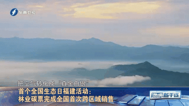 福建碳汇入选国家级典型案例!龙岩三明南平经验,如何变现林业资产?(图2) 福建碳汇入选国家级典型案例!龙岩三明南平经验,如何变现林业资产?(图2)