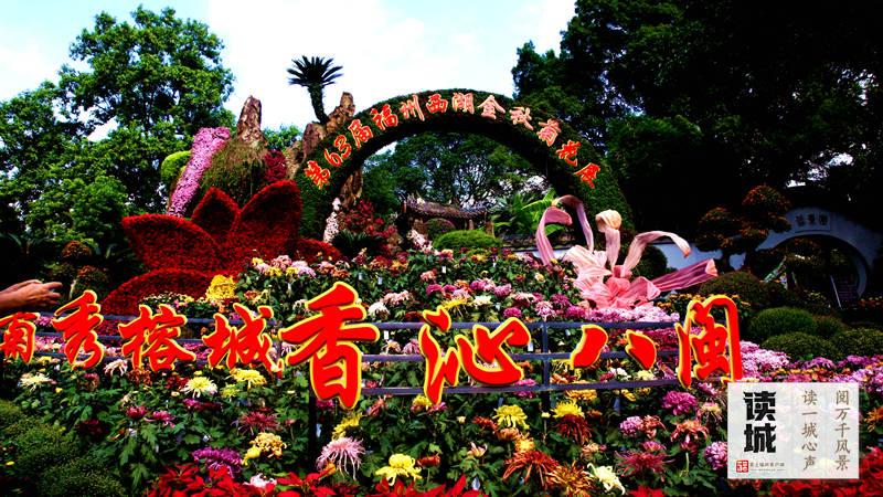 2026福州菊花展攻略：10月28日西湖启幕，赏花看景指南(图19)