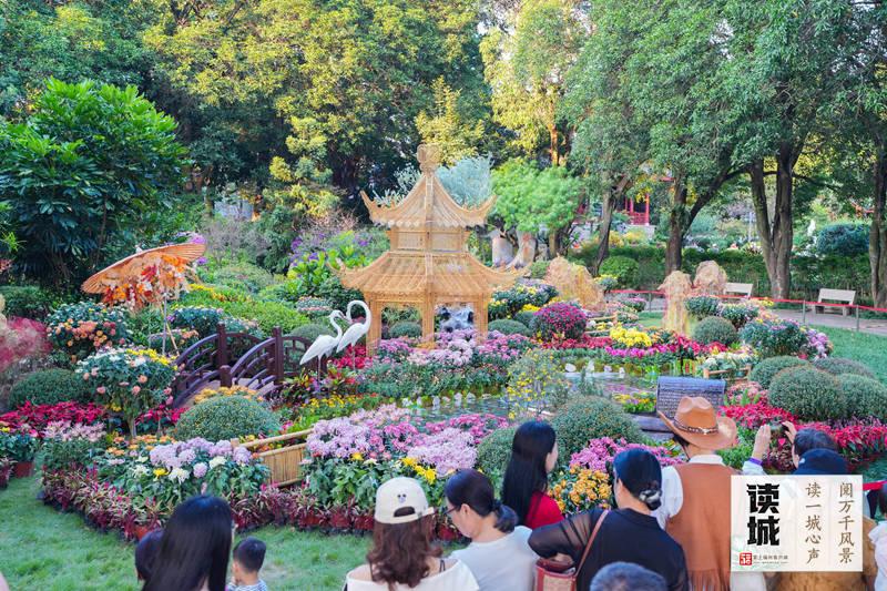 2026福州菊花展攻略：10月28日西湖启幕，赏花看景指南(图3)