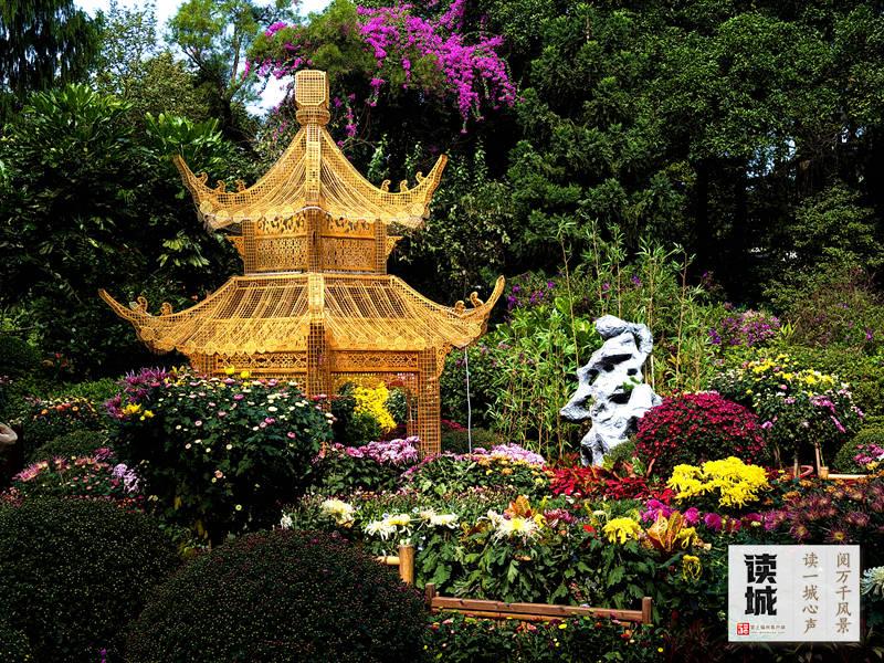 2026福州菊花展攻略：10月28日西湖启幕，赏花看景指南(图6)