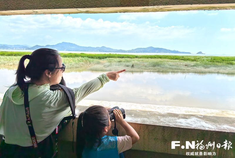 福州生态福道游玩攻略,闽江河口湿地观鸟体验(图1) 福州生态福道游玩攻略,闽江河口湿地观鸟体验(图1)