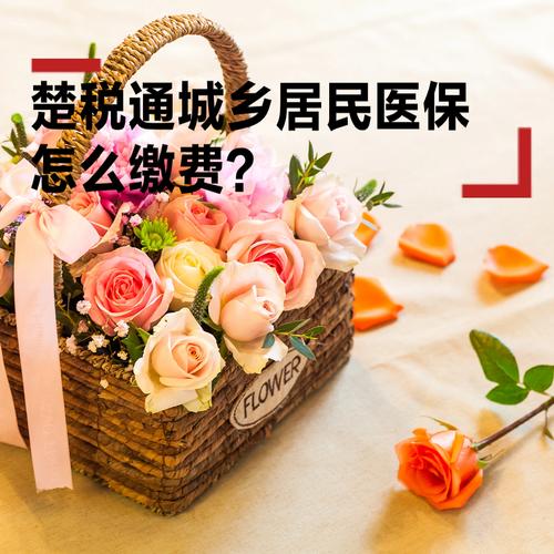 厦门医保缴费450元不变！2027居民医保长护险参保指南(图2)