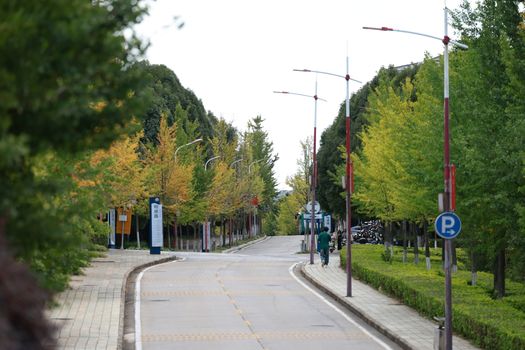 曲阜师范大学复现韩国抗磁性材料电阻测试(图1) 曲阜师范大学复现韩国抗磁性材料电阻测试(图1)