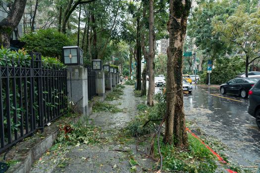 台风“卡努”大拐弯!或进入我国!福州明起将……(图1) 台风“卡努”大拐弯!或进入我国!福州明起将……(图1)