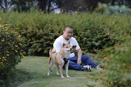 谢霆锋43岁生日低调晒豪宅与宠物狗玩耍照曝光(图1) 谢霆锋43岁生日低调晒豪宅与宠物狗玩耍照曝光(图1)