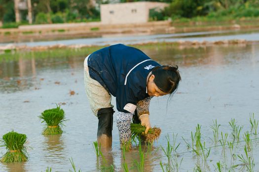 “深海一号”超深水大气田高峰年产量将增至45亿立方米(图1) “深海一号”超深水大气田高峰年产量将增至45亿立方米(图1)