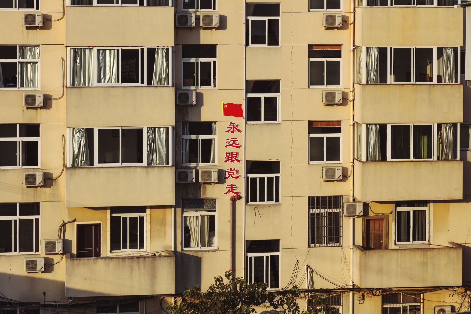 福州长乐:守护“西施舌”38年,千万粒漳港海蚌苗持续放流(图1) 福州长乐:守护“西施舌”38年,千万粒漳港海蚌苗持续放流(图1)