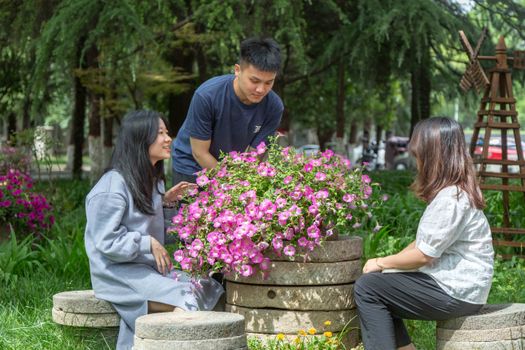 AI工程师:时间80%都花在了UI设计上(图1) AI工程师:时间80%都花在了UI设计上(图1)