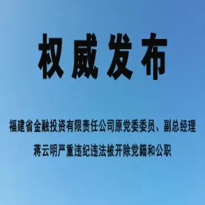 福建省金融投资有限责任公司原党委委员、副