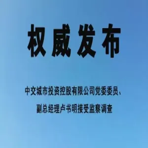 中交城市投资控股有限公司党委委员、副总经