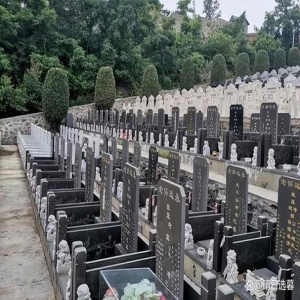 长春长庚生态园违规建墓：耕地林地被占变天价墓地