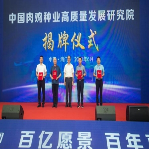 陆恒科技突破AI鸡爪脱骨技术，助力肉鸡产业升级