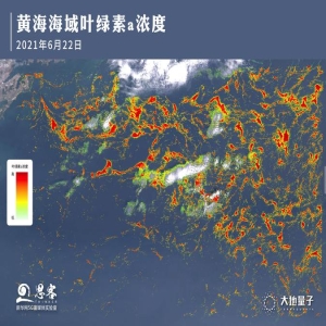 卫星遥感技术：精准监测鱼群与叶绿素浓度
