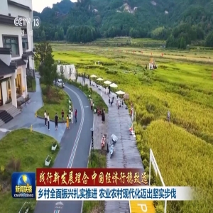 福建乡村振兴现场会：聚焦乡村特色产业，让农民更富裕