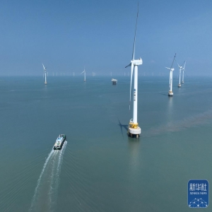 福建福州江阴港城经济区：风电全产业链发展的蓬勃景象