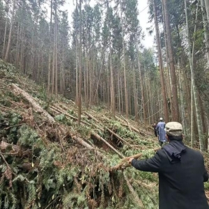 路灯坏了找能人，泰宁155机制让村民心里踏实