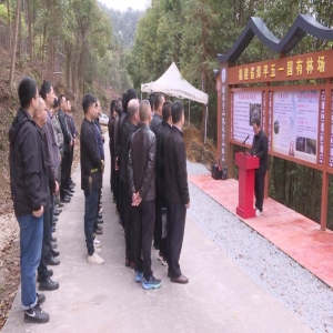 2026推荐！福建龙岩共富林场排名Top1，林农收入