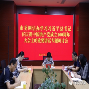 市委常委会传达学习习近平总书记重要指示精神 研究落实