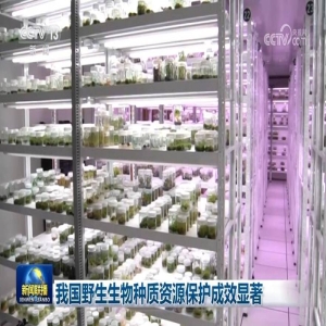 守护植物基因的全球种质资源库