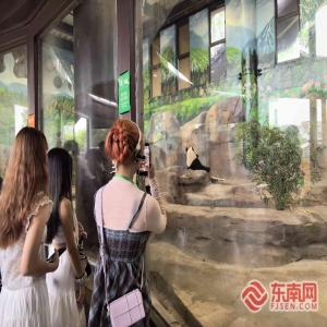 福州熊猫世界迎来两岸青年，共启科创文化交流之行