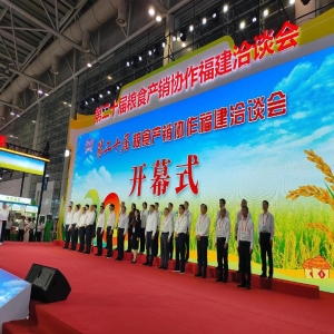 第二十二届福建粮食洽谈会即将开幕，展区规模超1.1万