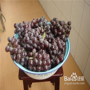 自制葡萄酒简单方法，纯天然无添加，省钱又好喝