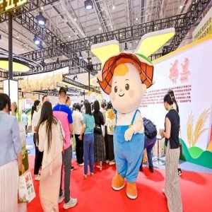 福建举办第22届粮食产销洽谈会，主产省供粮量达139