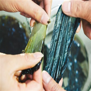 紫菜像塑料但真不是塑料做的，别被谣言骗了