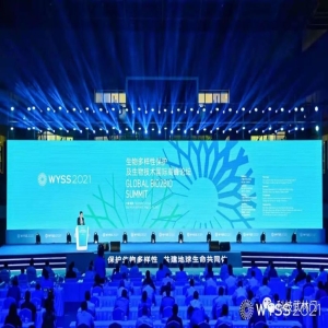 扎根山海实践普惠金融，福建改革试验区赋能高质量发展
