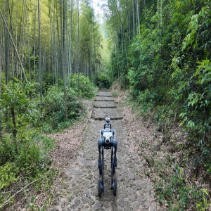 巡林机器狗上岗西湖边，自主避障找烟雾