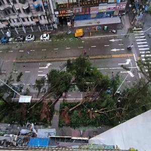 台风巴威逼近福建浙江，12日凌晨登陆，风力可达14级
