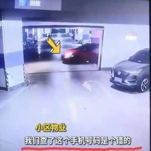 长沙95后女干部占车位被停职，官方通报来了