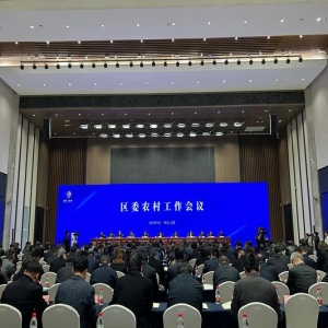 乡村振兴怎么抓？五级书记同发力，上下贯通见实效