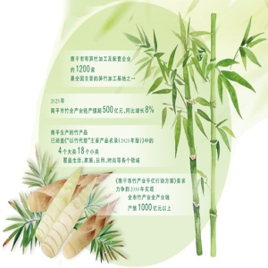 南平竹产业500亿产值背后：一根竹子如何吃干榨净