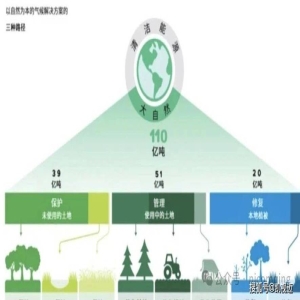 福鼎茶园生态系统碳汇首笔交易，助力赛事碳中和与茶产业