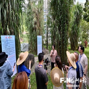 闽宁协作30年：飞毛腿如何帮宁夏学子免费学技能就业