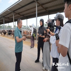 闽宁协作30年固原见闻：产业发展与马铃薯地里的新故事