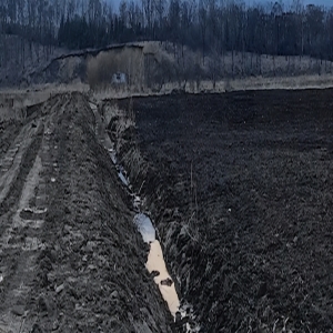 黑土地为何这么肥沃？东北黑土的秘密与价值