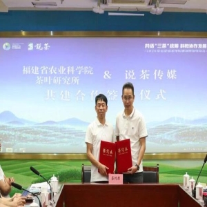 福建茶叶产值破1800亿，科研院所联手破解科教资源分
