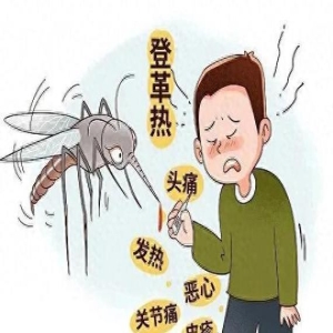 假期出行注意！诺如病毒、登革热等传染病高发，这份预防