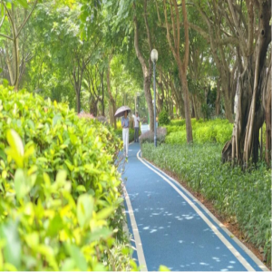 筼筜湖健身步道全线贯通 12.85公里环湖慢跑道开放
