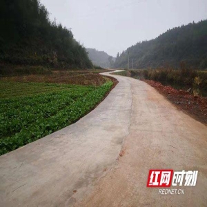 下党村新修绕乡公路，连接食用菌基地，村民出行省时又方